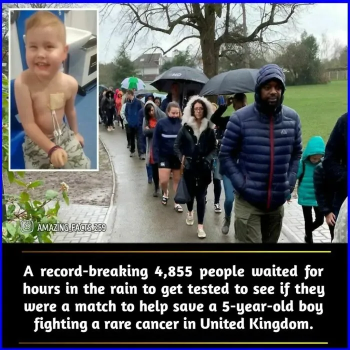 50 Of The Most Interesting And Fascinating Facts Shared On “Amazing Facts”