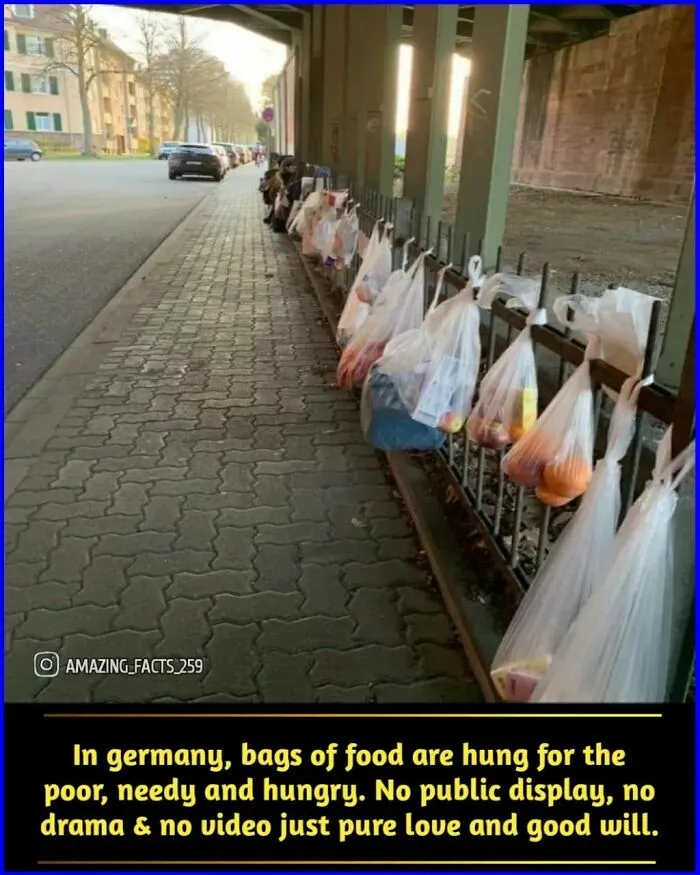 50 Of The Most Interesting And Fascinating Facts Shared On “Amazing Facts”