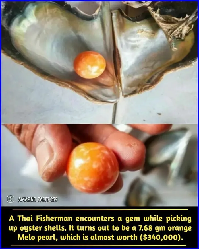 50 Of The Most Interesting And Fascinating Facts Shared On “Amazing Facts”