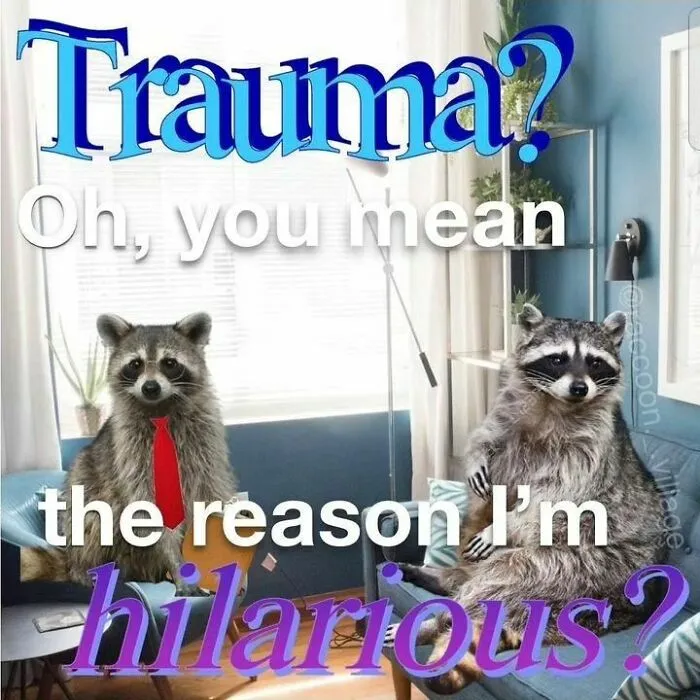 Raccoons Have Never Been More Relatable Than They Are In These 30 Dark Humor Memes