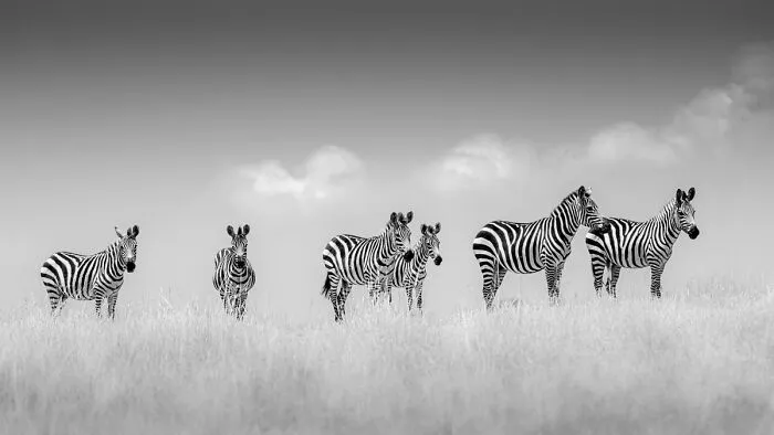 My Leap Into Wildlife Photography: 20 Images Of Nature’s Beauty