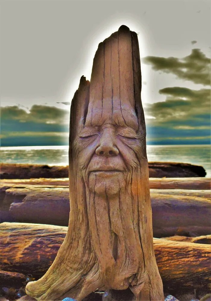Wisdom In Wood