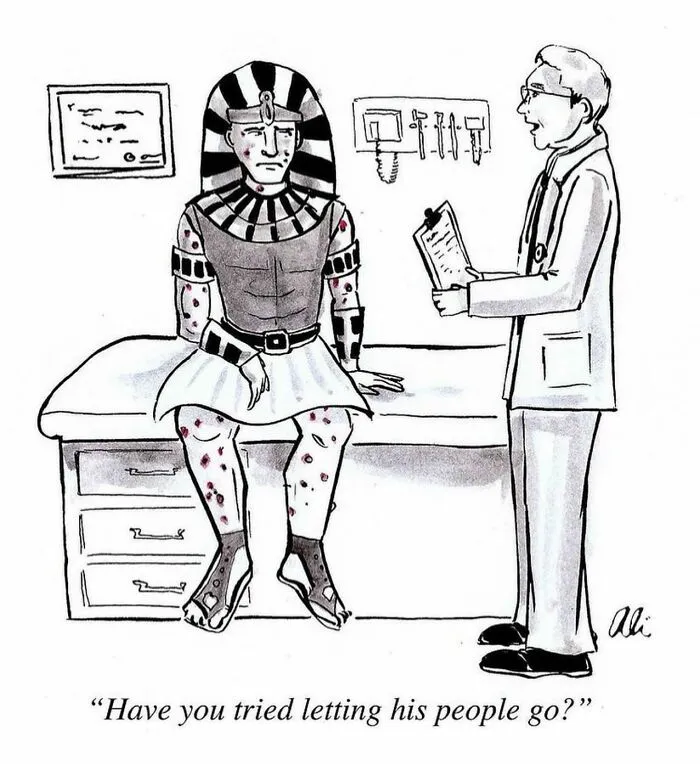 39 Clever And Witty One-Panel Comics By New Yorker Cartoonist Ali Solomon (New Pics)