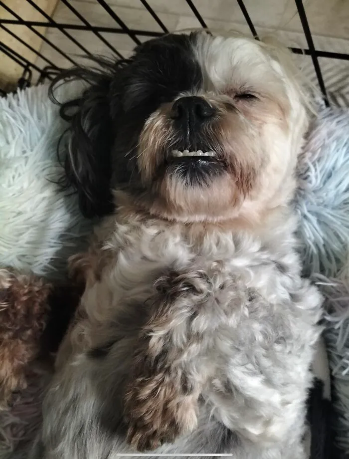Charlie
