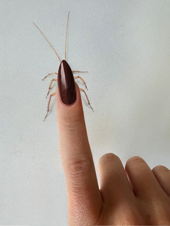 My 33 Creative Combinations Of Two Unrelated Objects (New Pics)