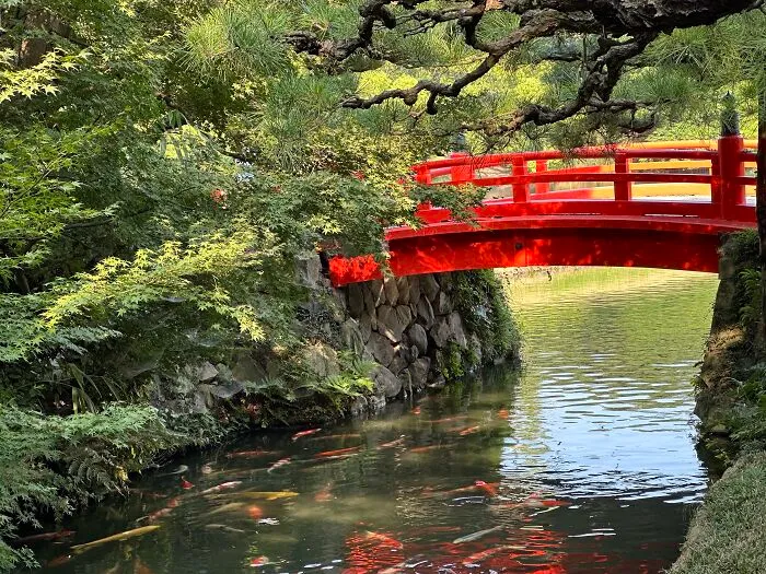 Clean, Beautiful, Vibrant