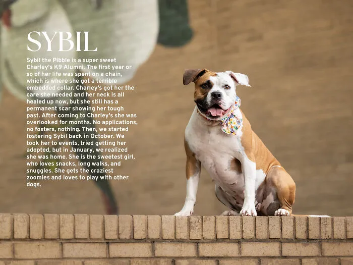 Miss June, Sybil