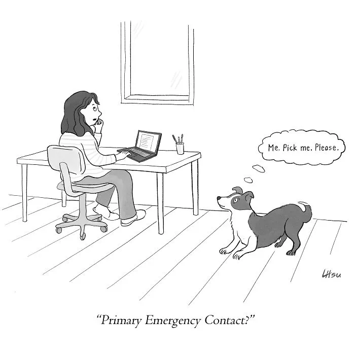 Artist Creates Single-Panel Cartoons, Here Are 30 Of The Funniest Ones