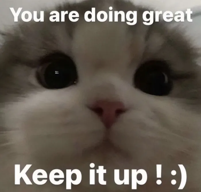 “Let the Cat Fill You with Hope”