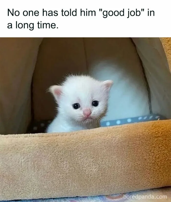 “Good Job, Little Guy!”