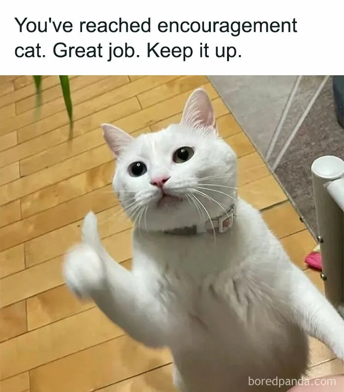 “Great Job!”