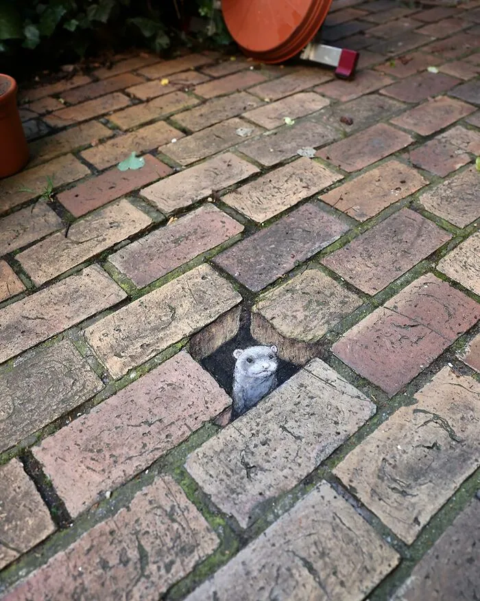 30 New Doodled Creatures That Popped Up In Unexpected Places, By David Zinn