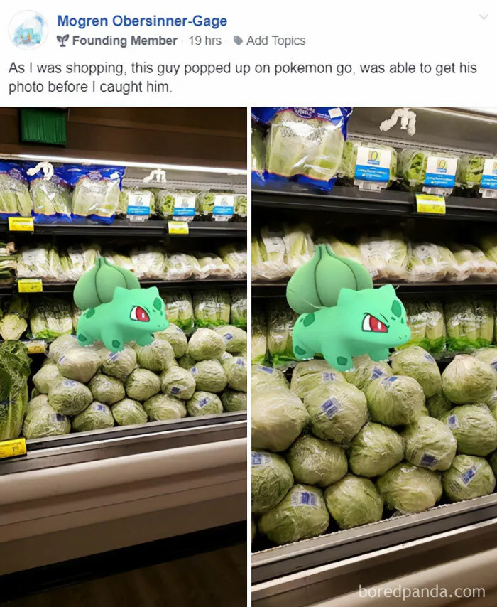 Hunting for Groceries and Pokémon