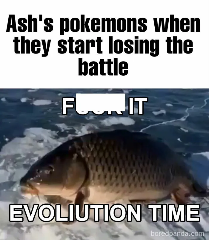 “When Ash's Pokémon Are Done Playing Around”