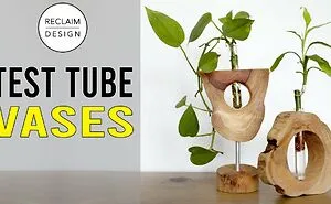 Not Just For Labs! I Made Test Tubes Into Vases With Live Edge Stands