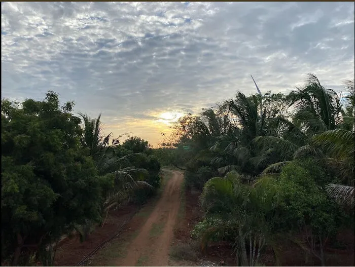 The View From My House; Humid, Populated, Colourful