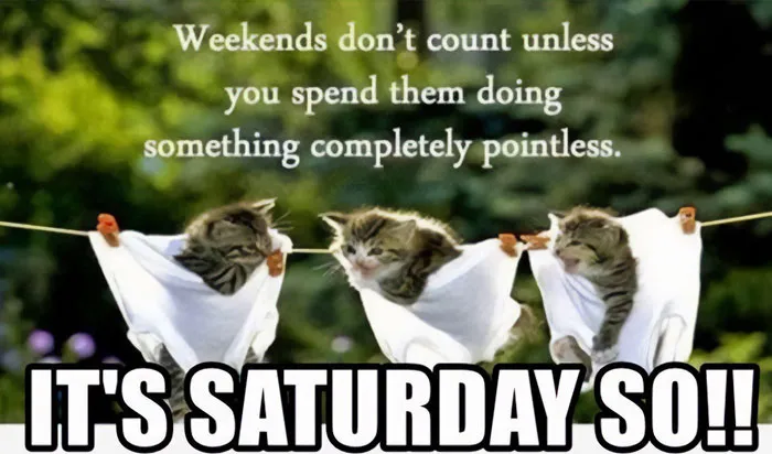 “It's Saturday So...Do Something Pointless”