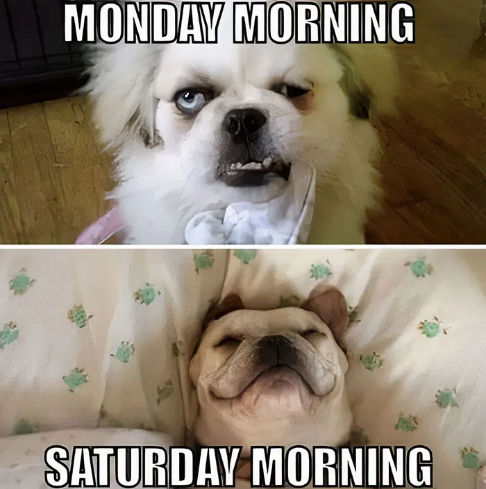 “Bring on the Saturday Morning Smiles!”