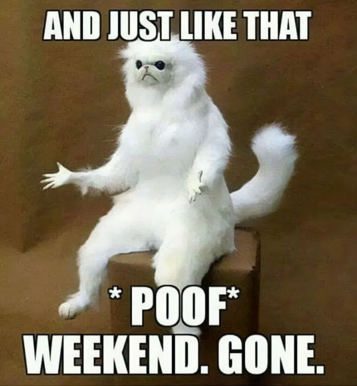 “Where the Hell Did the Weekend Go?”