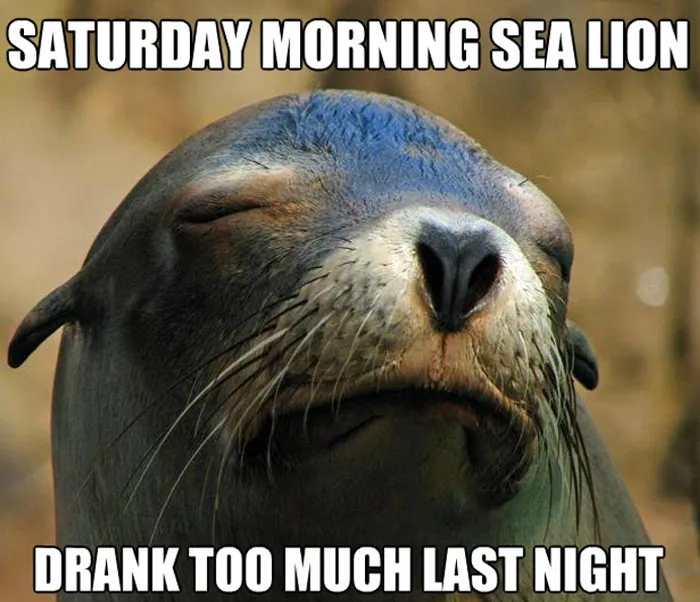 The Morning After