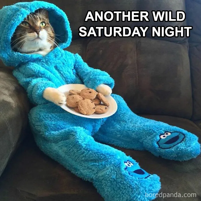 “Some Saturdays, You Just Wanna Chill”