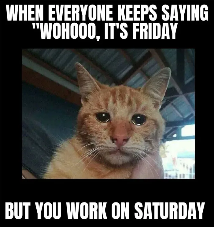 No Mercy for Peeps Who Work Saturday