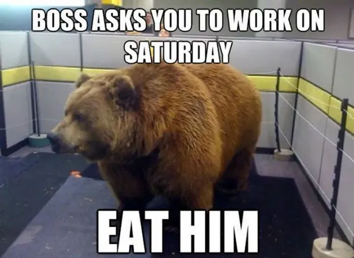 “When Your Boss Asks You To Work on Saturday”
