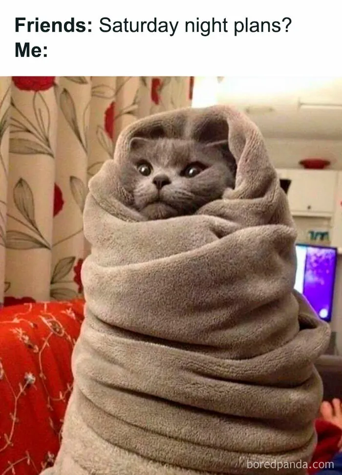 “Sometimes the Best Saturday Plans Are No Plans at All”