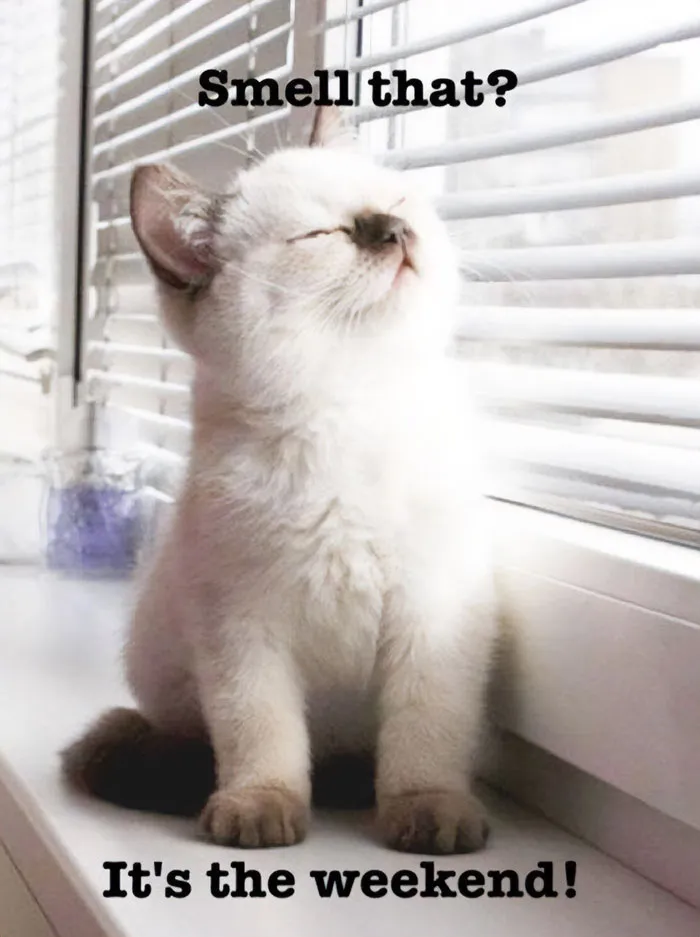 Smells Like Saturday