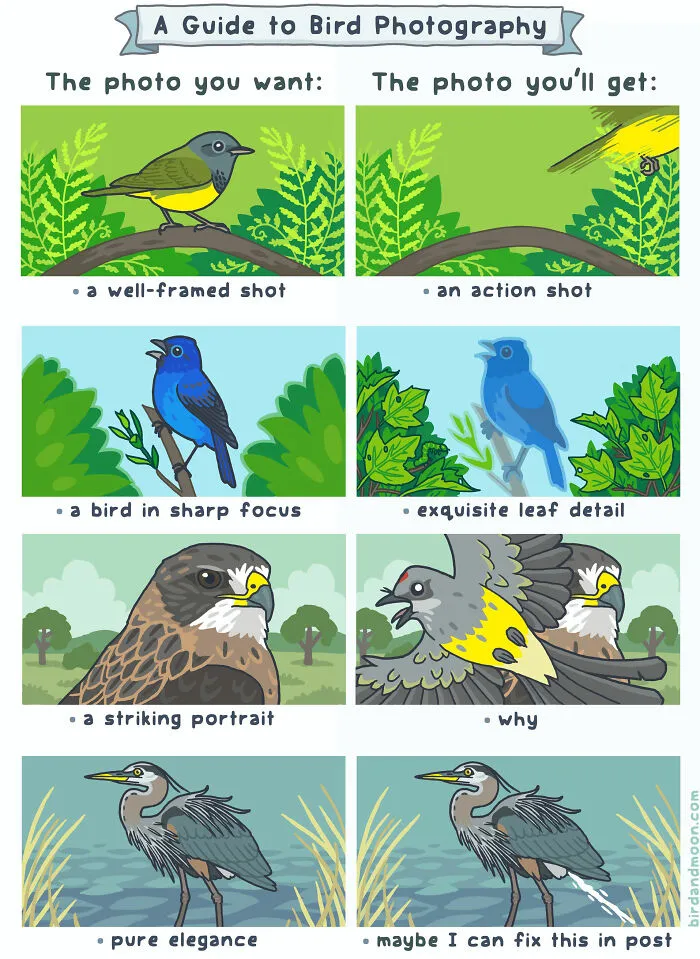 Artist Creates Comics Depicting Humorous Moments In Nature (20 New Pics)