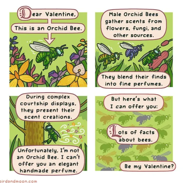 Artist Creates Comics Depicting Humorous Moments In Nature (20 New Pics)