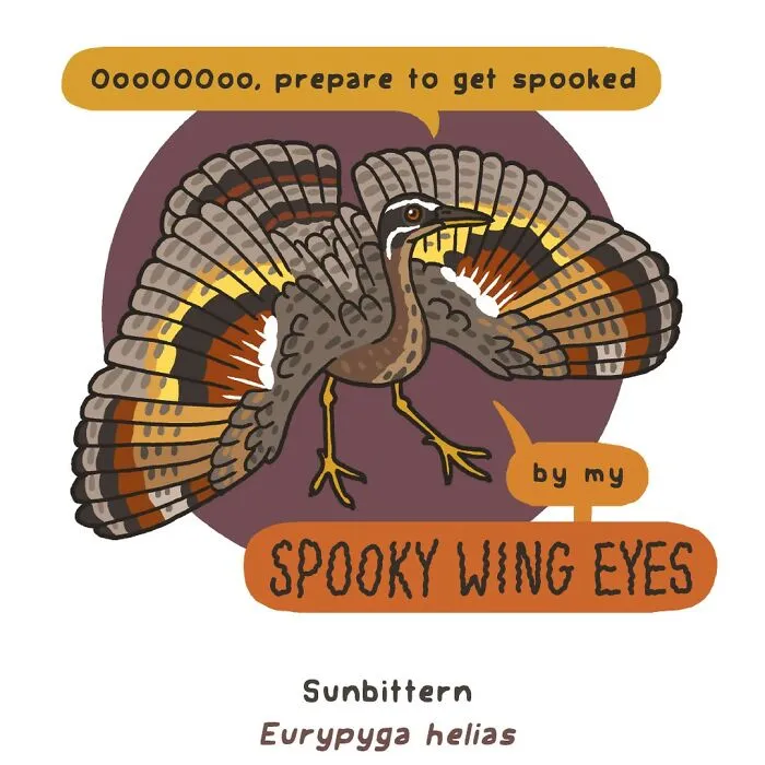 Artist Creates Comics Depicting Humorous Moments In Nature (20 New Pics)