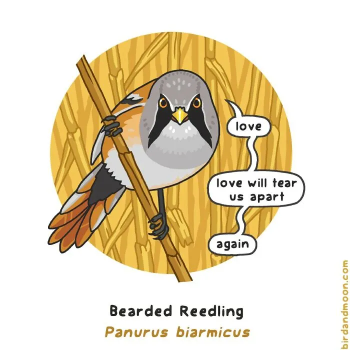 Artist Creates Comics Depicting Humorous Moments In Nature (20 New Pics)