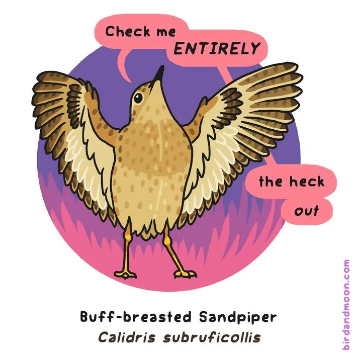 Artist Creates Comics Depicting Humorous Moments In Nature (20 New Pics)