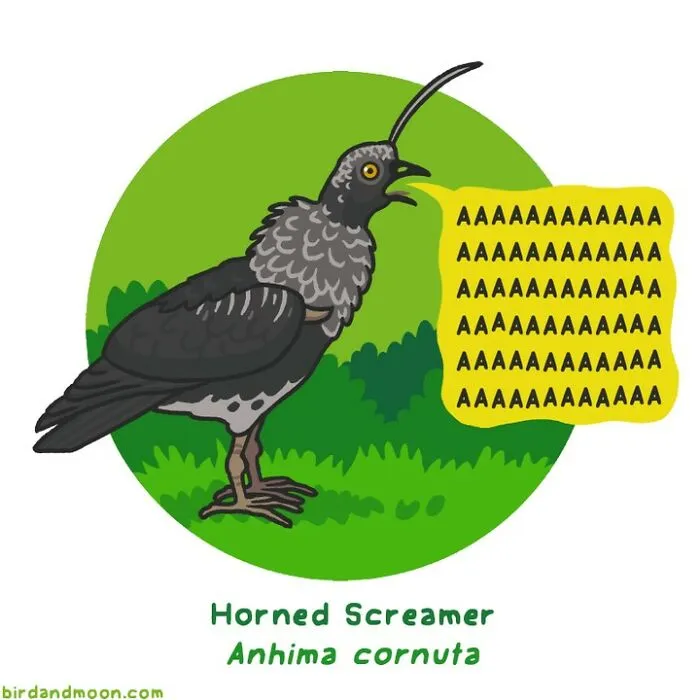 Artist Creates Comics Depicting Humorous Moments In Nature (20 New Pics)