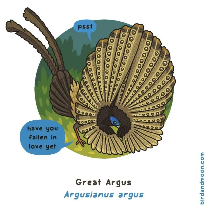 Artist Creates Comics Depicting Humorous Moments In Nature (20 New Pics)