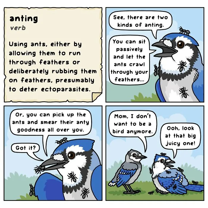 Artist Creates Comics Depicting Humorous Moments In Nature (20 New Pics)