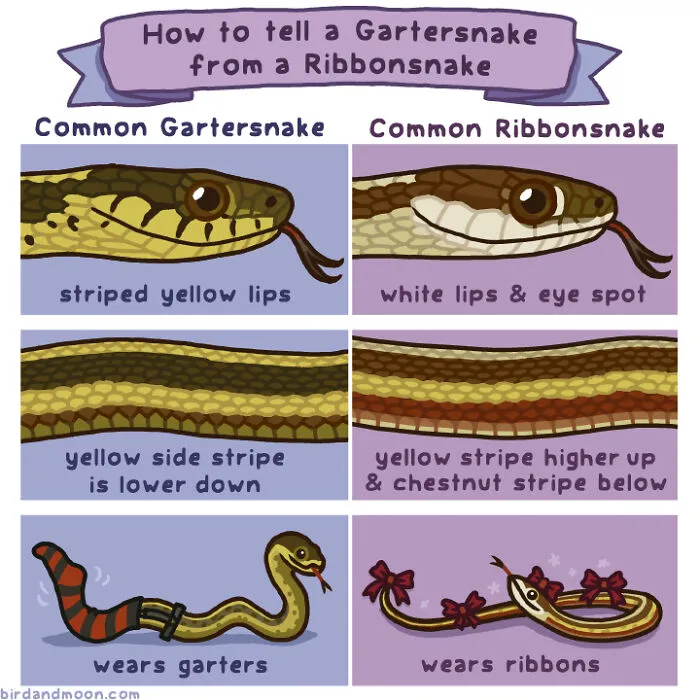 Artist Creates Comics Depicting Humorous Moments In Nature (20 New Pics)