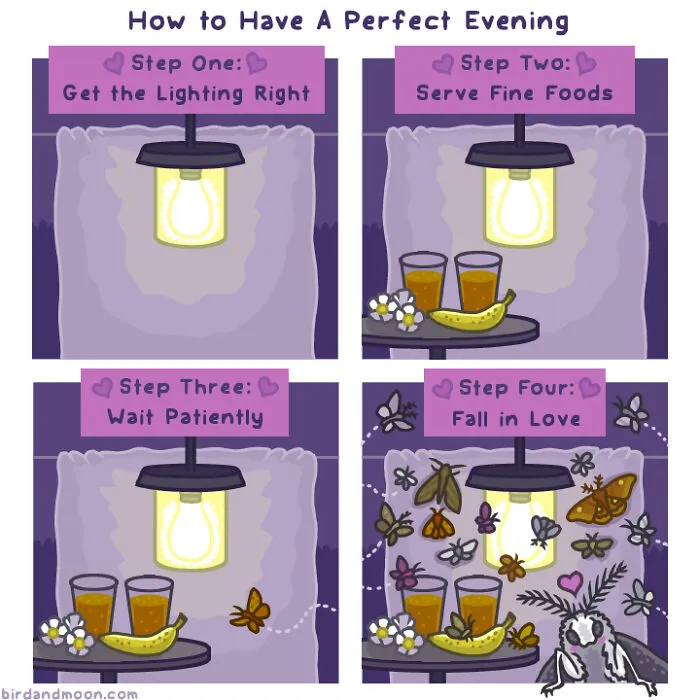 Artist Creates Comics Depicting Humorous Moments In Nature (20 New Pics)