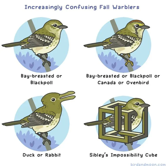 Artist Creates Comics Depicting Humorous Moments In Nature (20 New Pics)