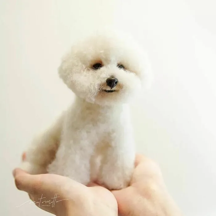 This Artist Turns Wool Into Various Animal Sculptures (43 New Pics)