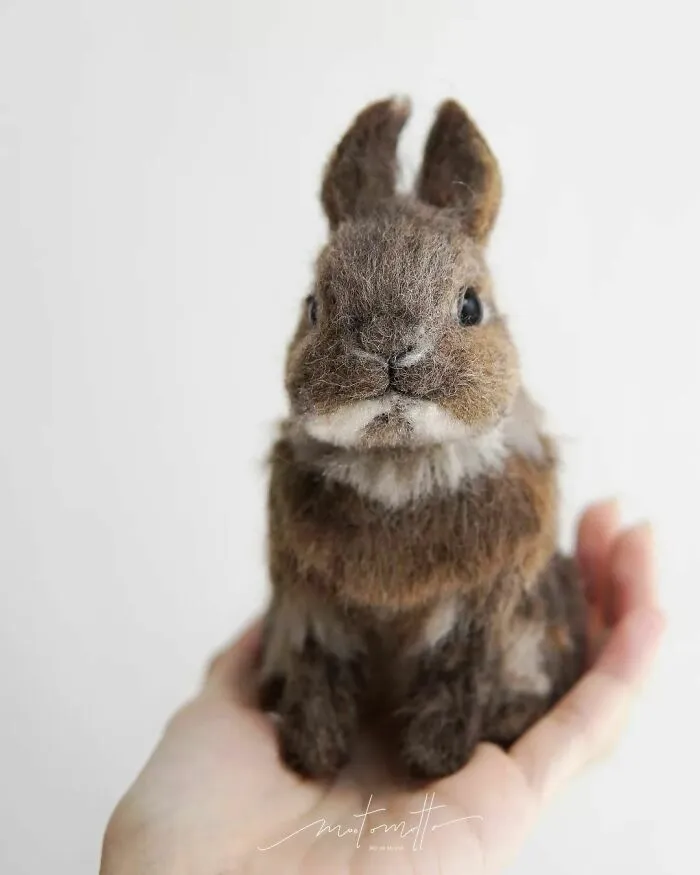 This Artist Turns Wool Into Various Animal Sculptures (43 New Pics)