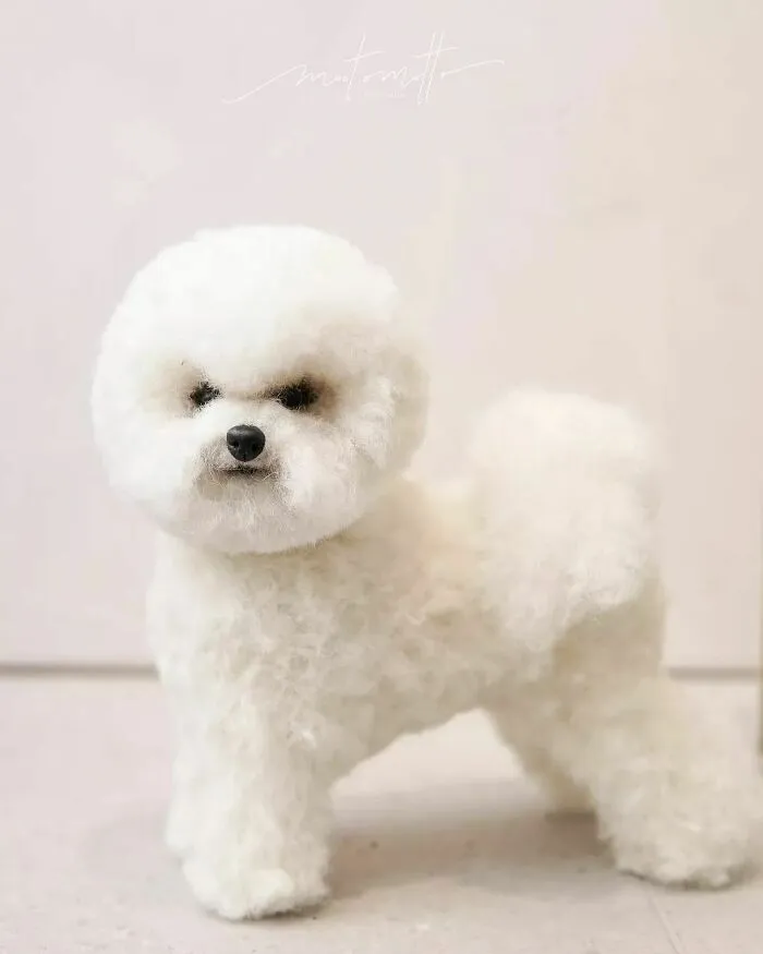 This Artist Turns Wool Into Various Animal Sculptures (43 New Pics)