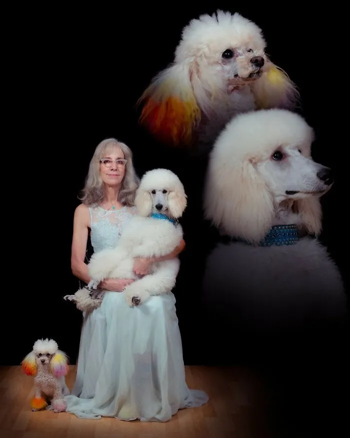 This Photographer Captured 30 Silly And Quirky Portraits Of Pets And Their Owners Once Again