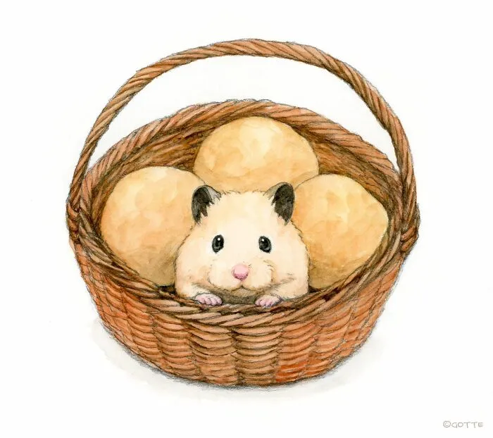 This Artist Shows The Life Of This Adorable Hamster In 25 Illustrations (New Pics)