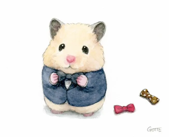 This Artist Shows The Life Of This Adorable Hamster In 25 Illustrations (New Pics)