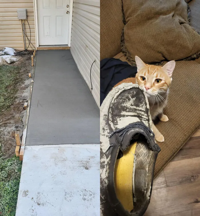 "So the landlord decided to lay concrete in front of my door without notice yesterday morning…" - <span Style="Font:inherit;color:#808080"> AFallingWall</Span>