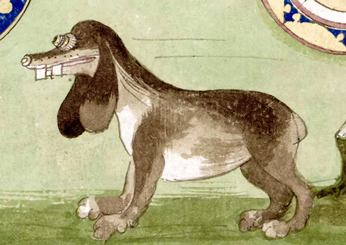 Medieval Goofy?