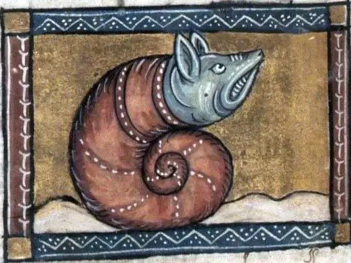 A Snail By Jacob Van Maerlant