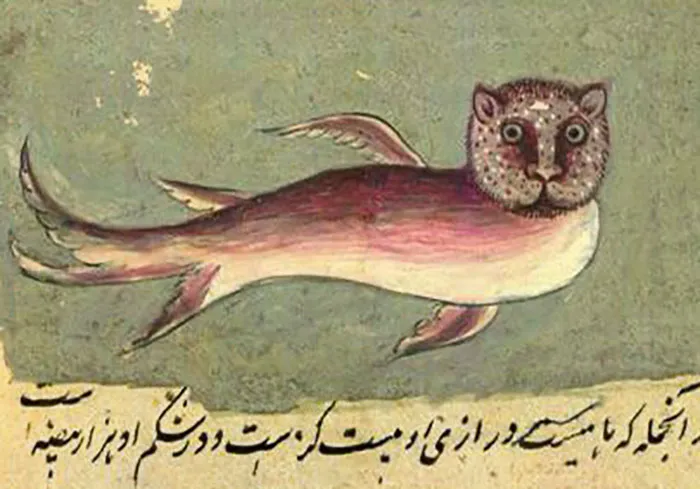 Someone Tried To Paint A Catfish